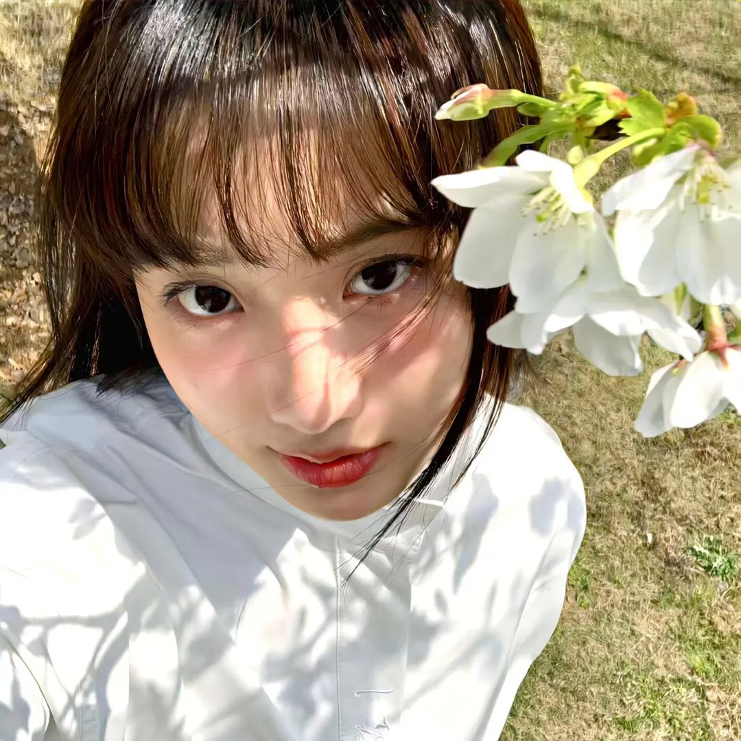 花儿与少年·好友记